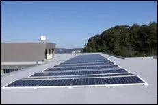 高知県が2026年8月にグリーンボンド発行、大和証券と四国銀行の窓口で販売へ